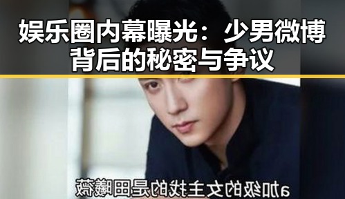 娱乐圈内幕曝光:少男微博背后的秘密与争议