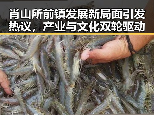 肖山所前镇发展新局面引发热议，产业与文化双轮驱动